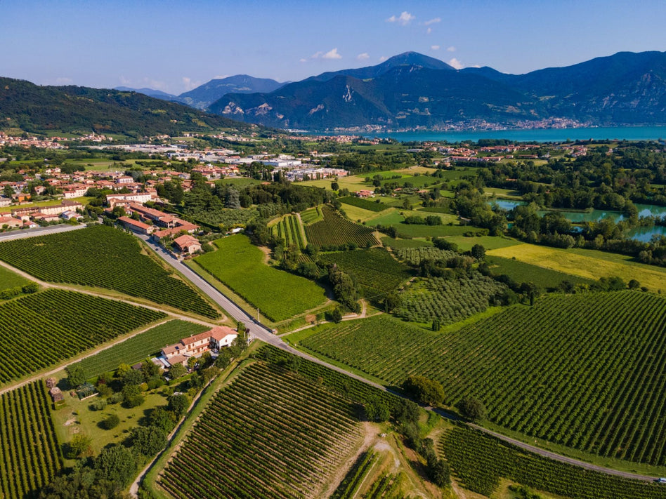 Franciacorta - Uveggiando