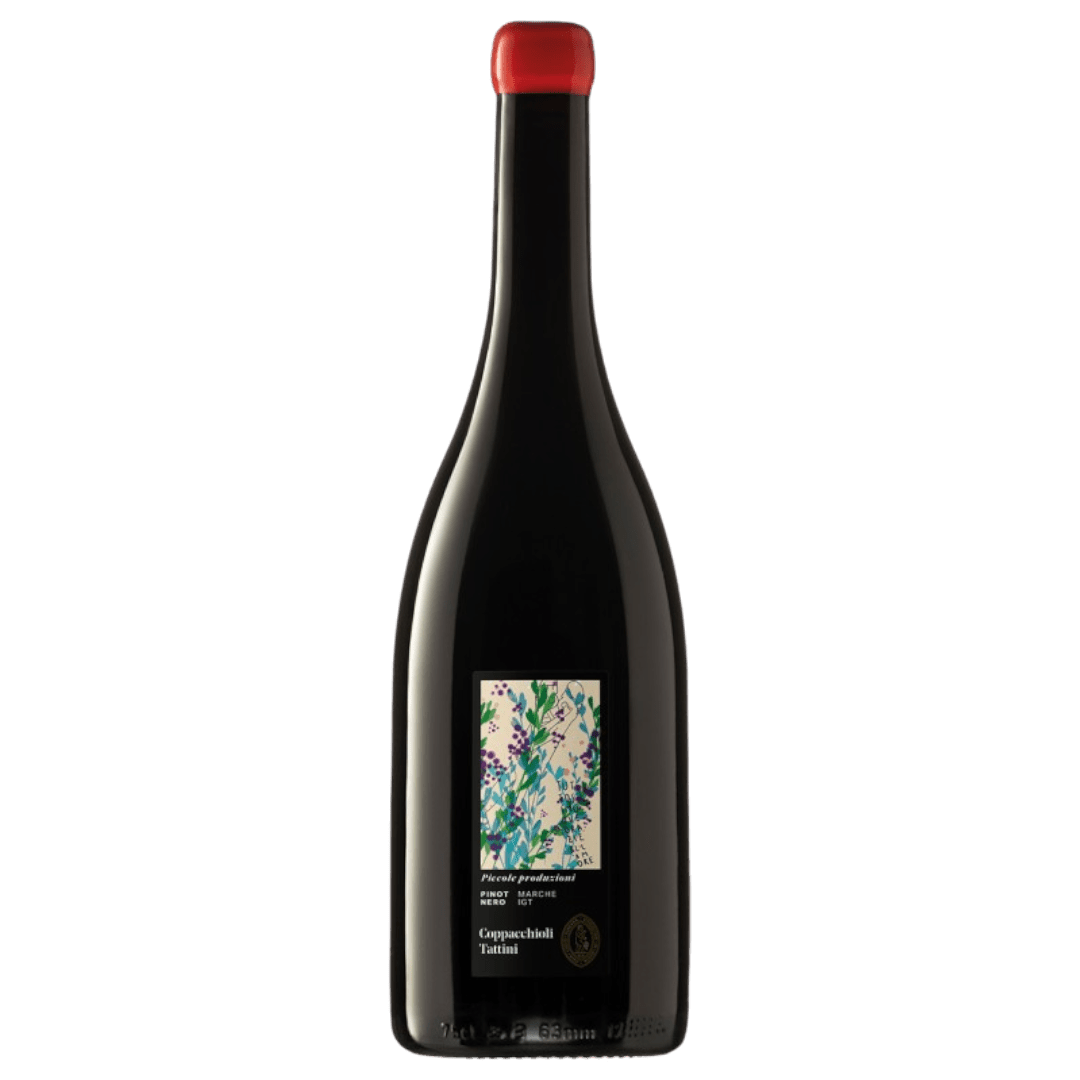 Uveggiando - COPPACCHIOLI - "Piccole Produzioni" Pinot Nero Marche Rosso - IGT
