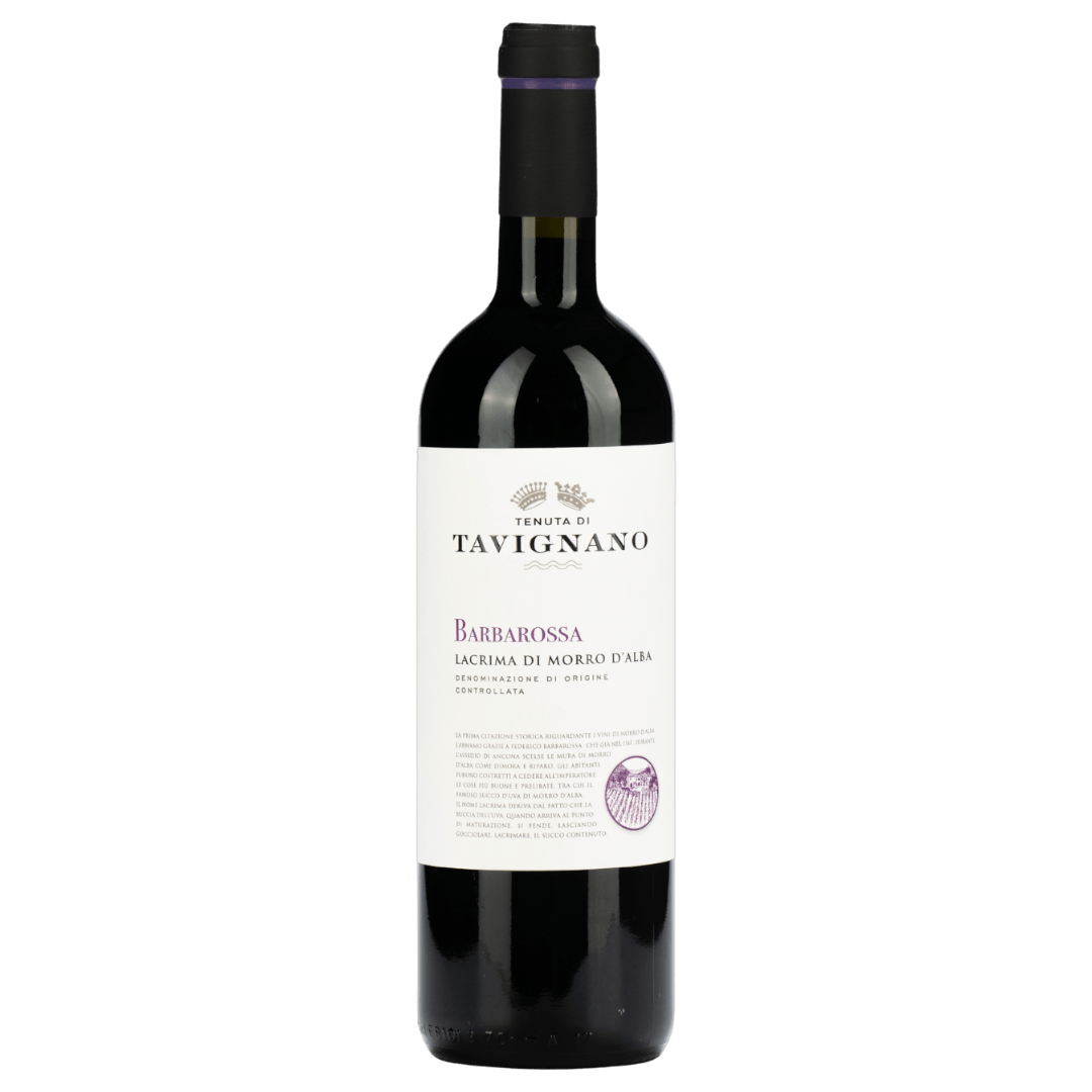 Uveggiando Enoteca Online|Tavignano | “Barbarossa” Lacrima Di Morro D'Alba | Doc