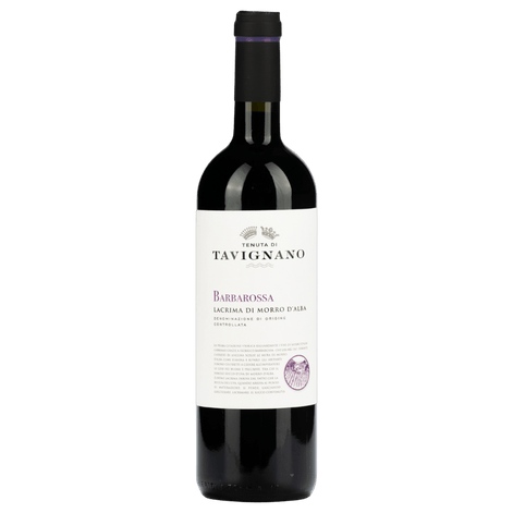 Uveggiando Enoteca Online|Tavignano | “Barbarossa” Lacrima Di Morro D'Alba | Doc